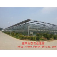 种植玻璃温室 连栋玻璃温室建设 质保价优欢迎来电洽谈